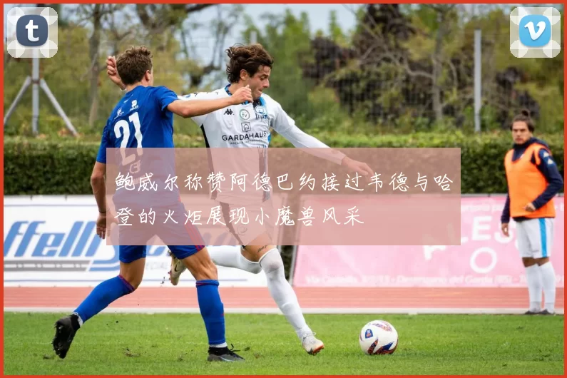 鲍威尔称赞阿德巴约接过韦德与哈登的火炬展现小魔兽风采